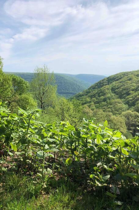2 Bedroom 2 Bathroom - Blue Knob All Season Resort Condo Claysburg Exteriör bild